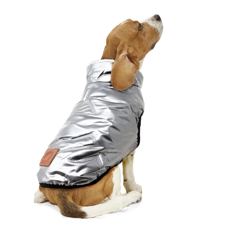 mascotasdama-497775