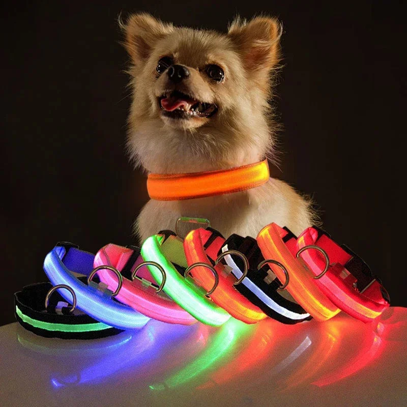 mascotasymax430360