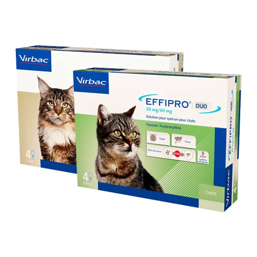 medpets-504239