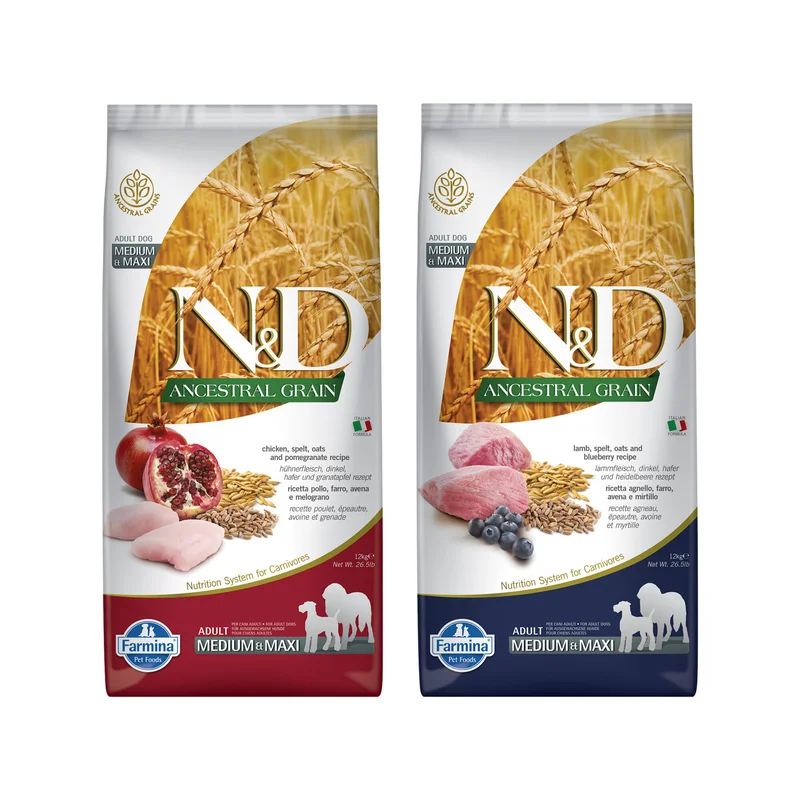 medpets-504453