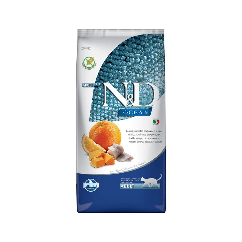 medpets-504461