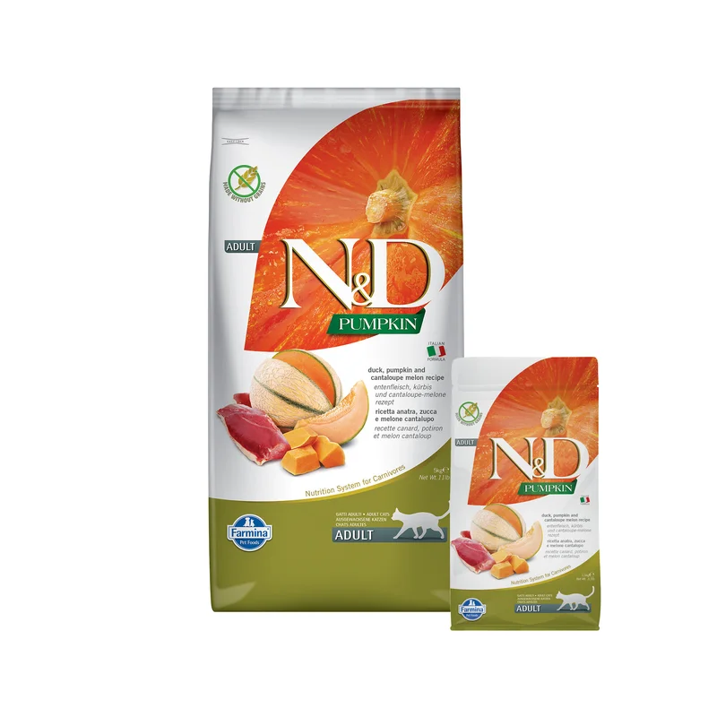medpets-504525