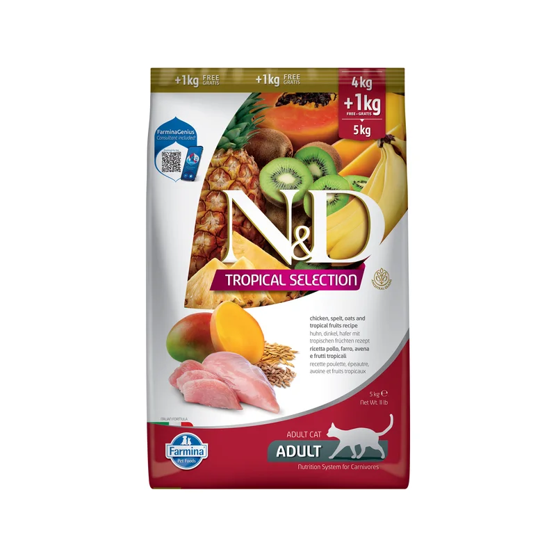 medpets-504634