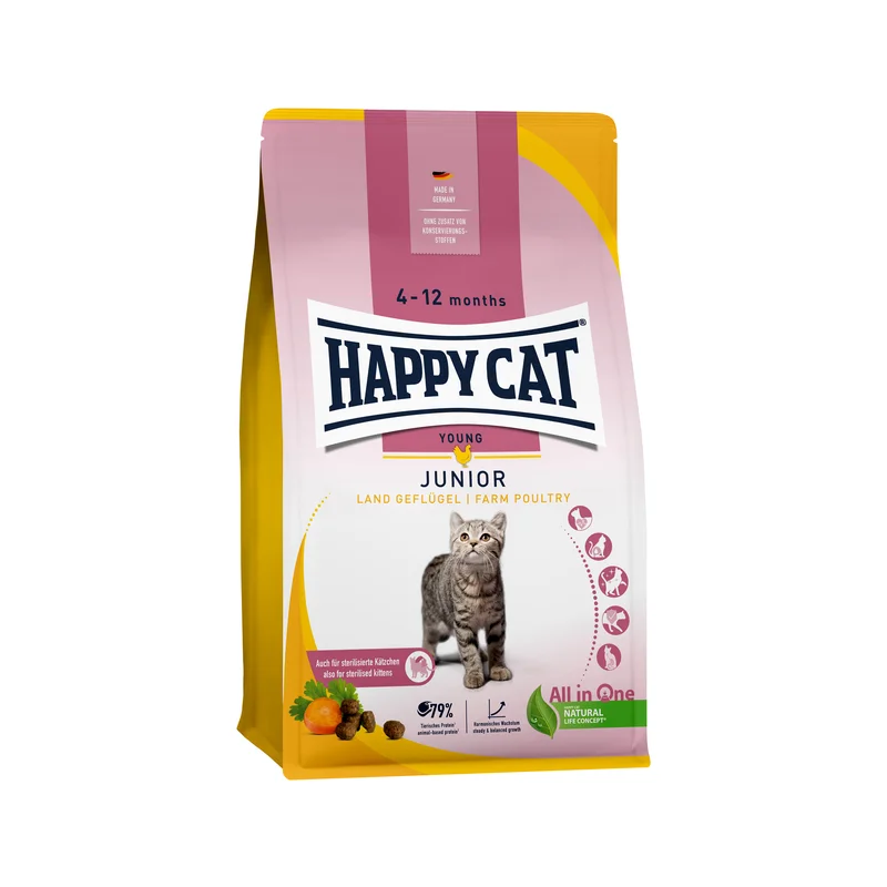 medpets-505387