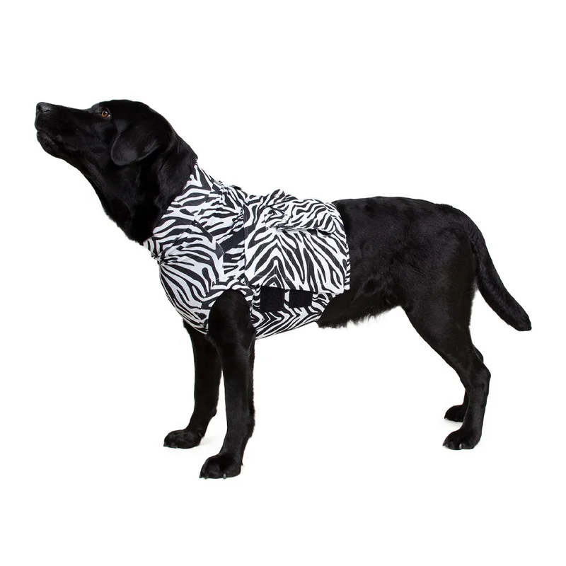 medpets-506546