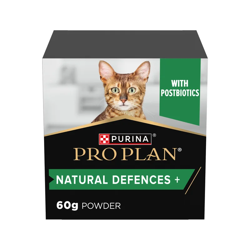medpets-506978