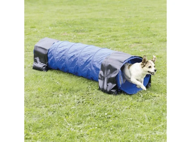 mismascotas-463134