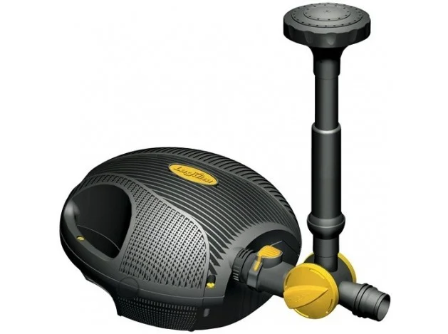 mismascotas-471308