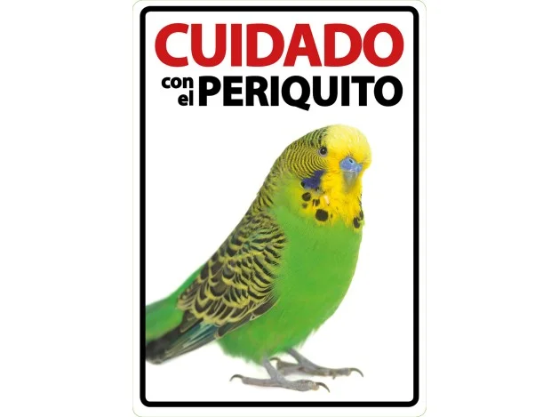 mismascotas-490550