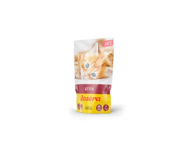mismascotas-492358