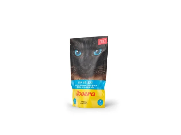 mismascotas-492373