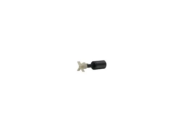 mismascotas-495130