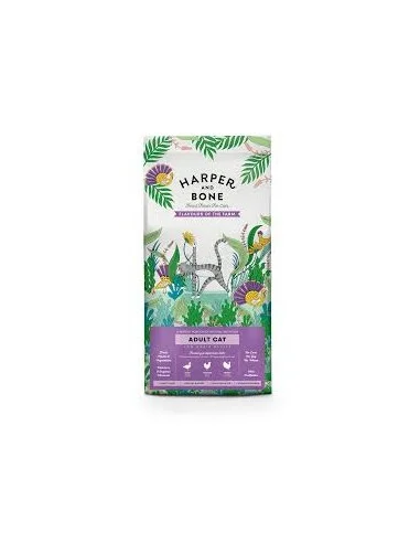 mizoo-486601