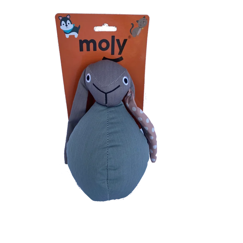 moly-434115