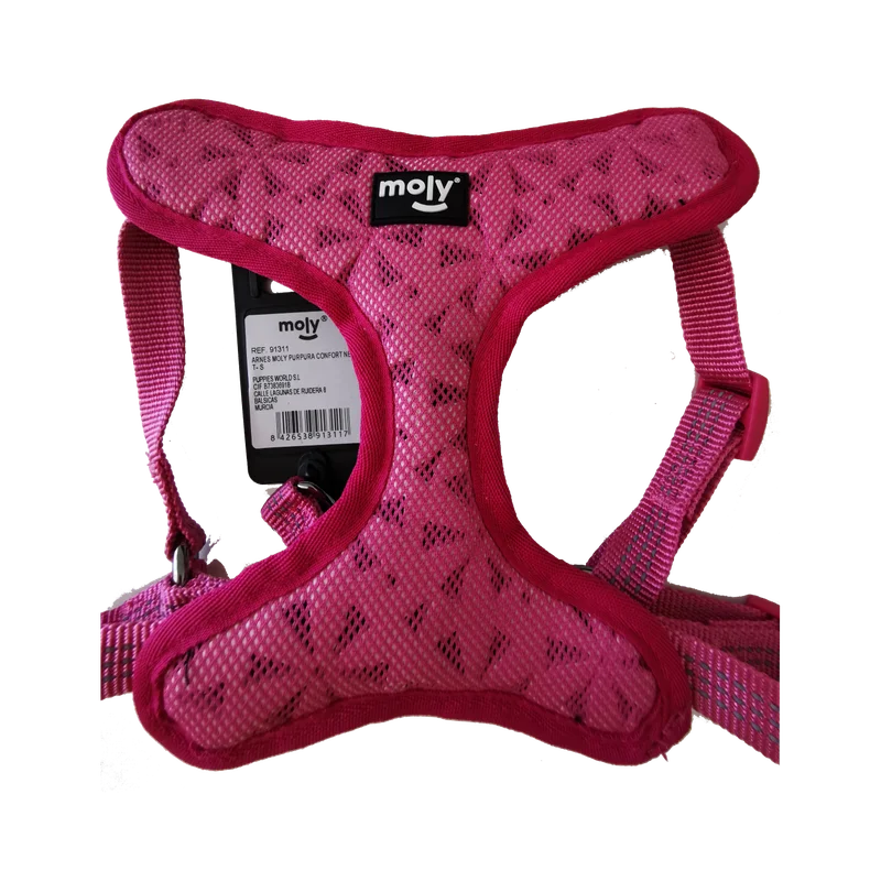 moly-434709