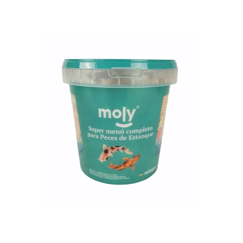 moly-435609