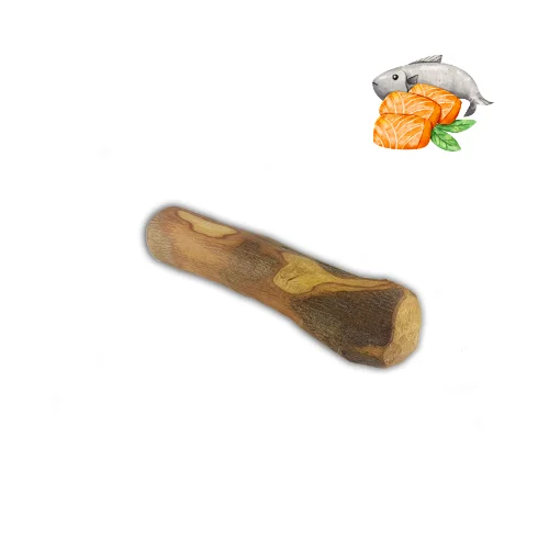 moydog-433596