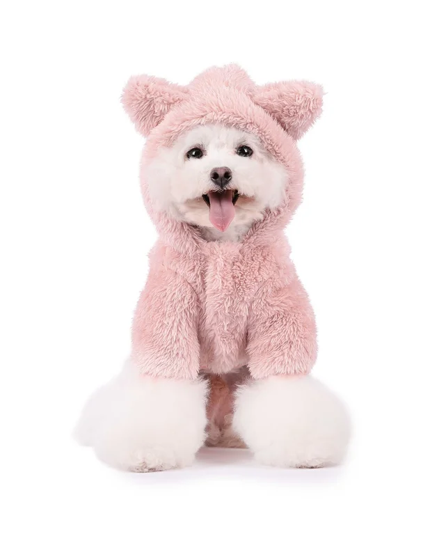 moydog-435749
