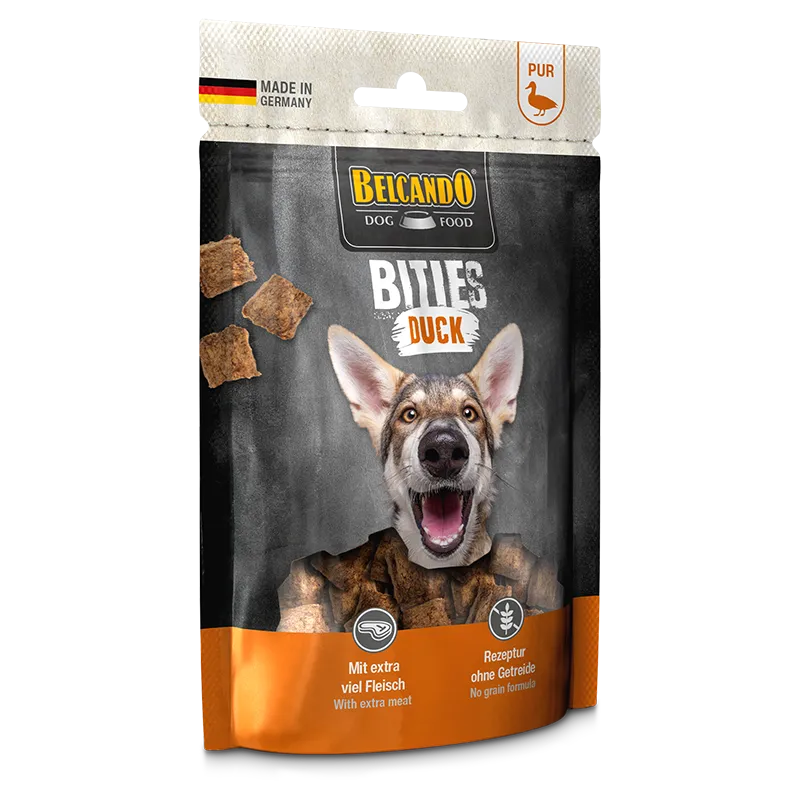 moydog-436003