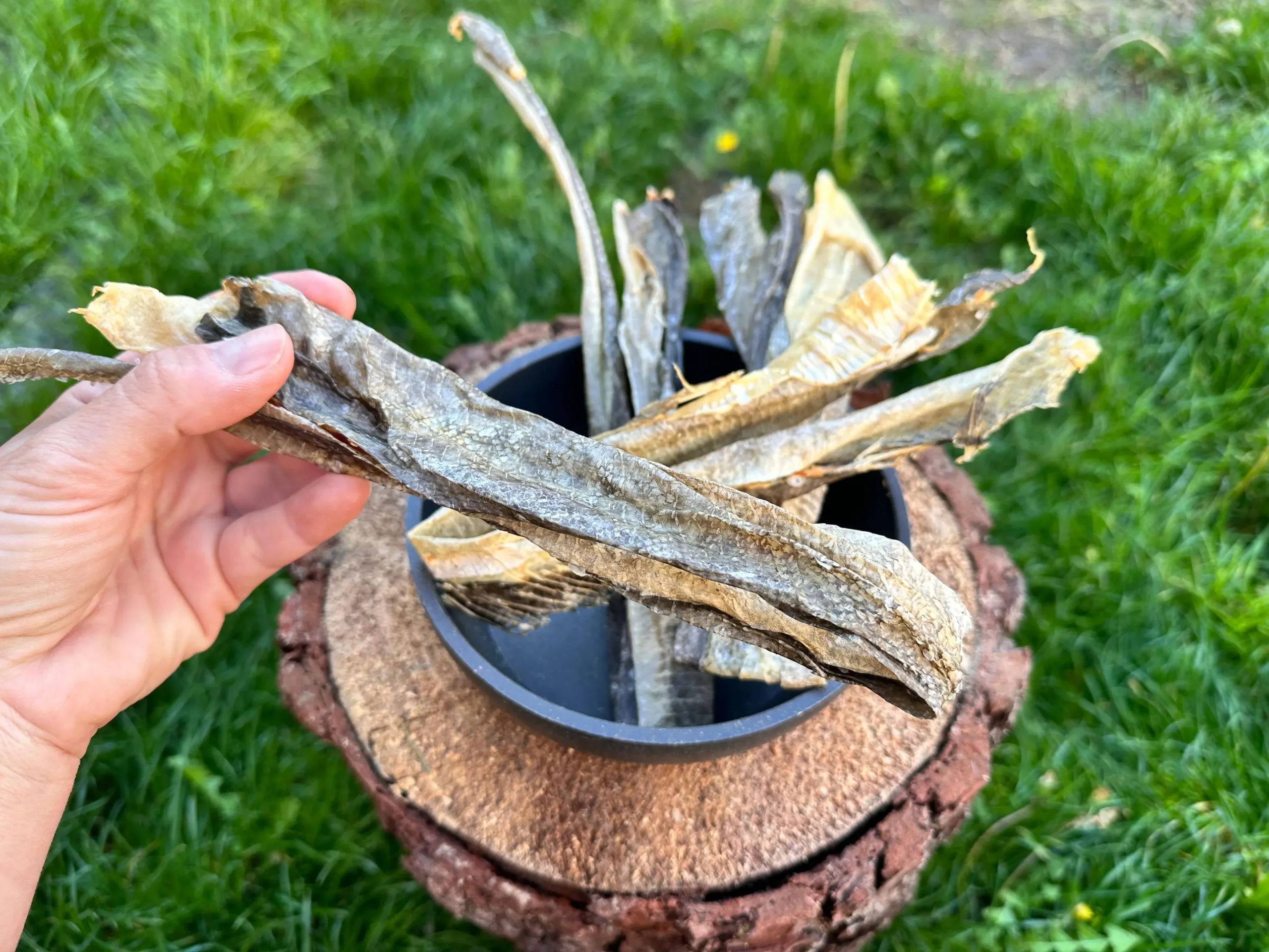 naturpetmascotas-473912