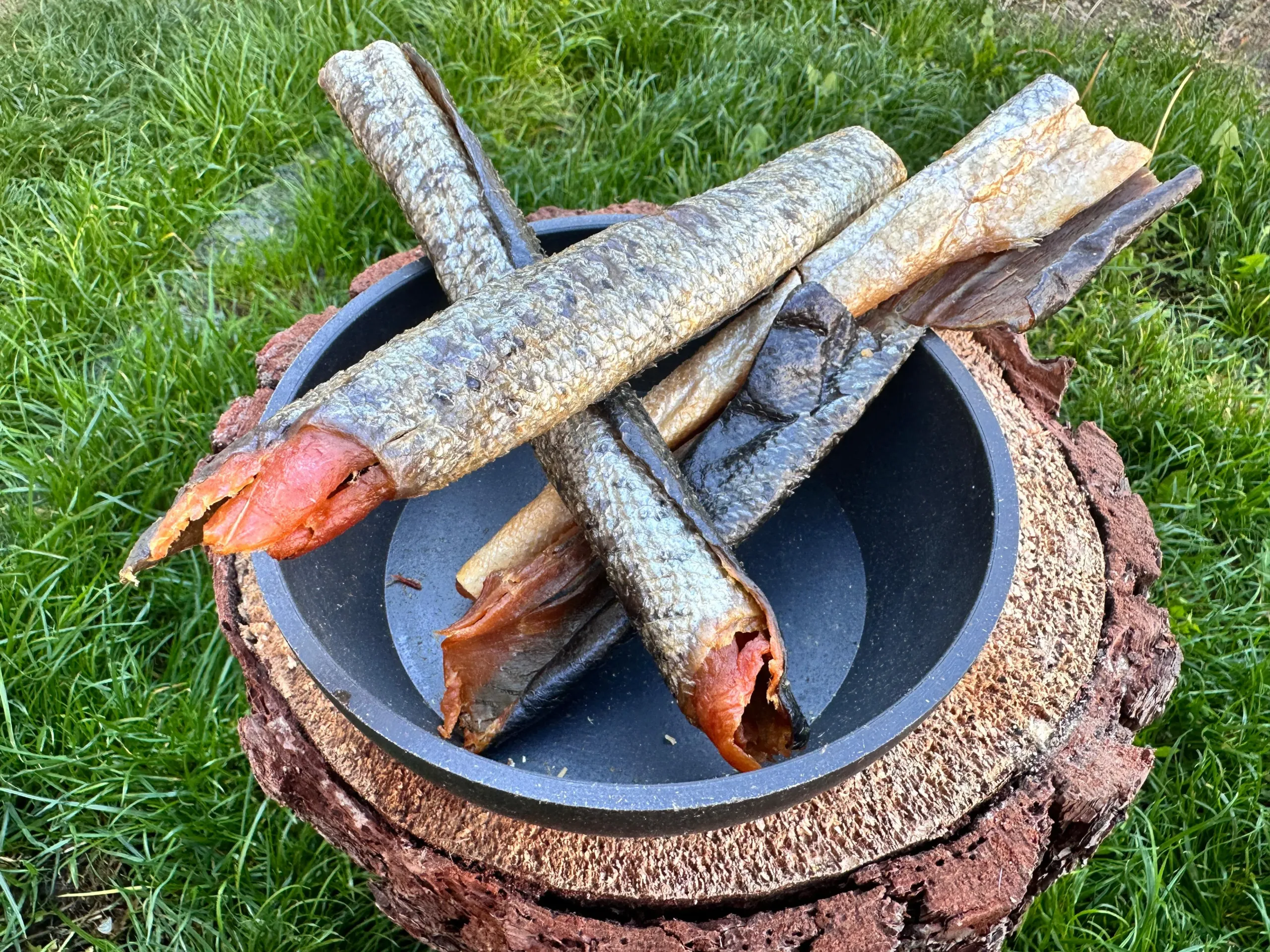 naturpetmascotas-474152