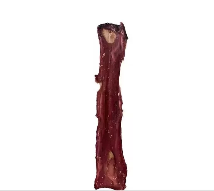 naturpetmascotas-476267