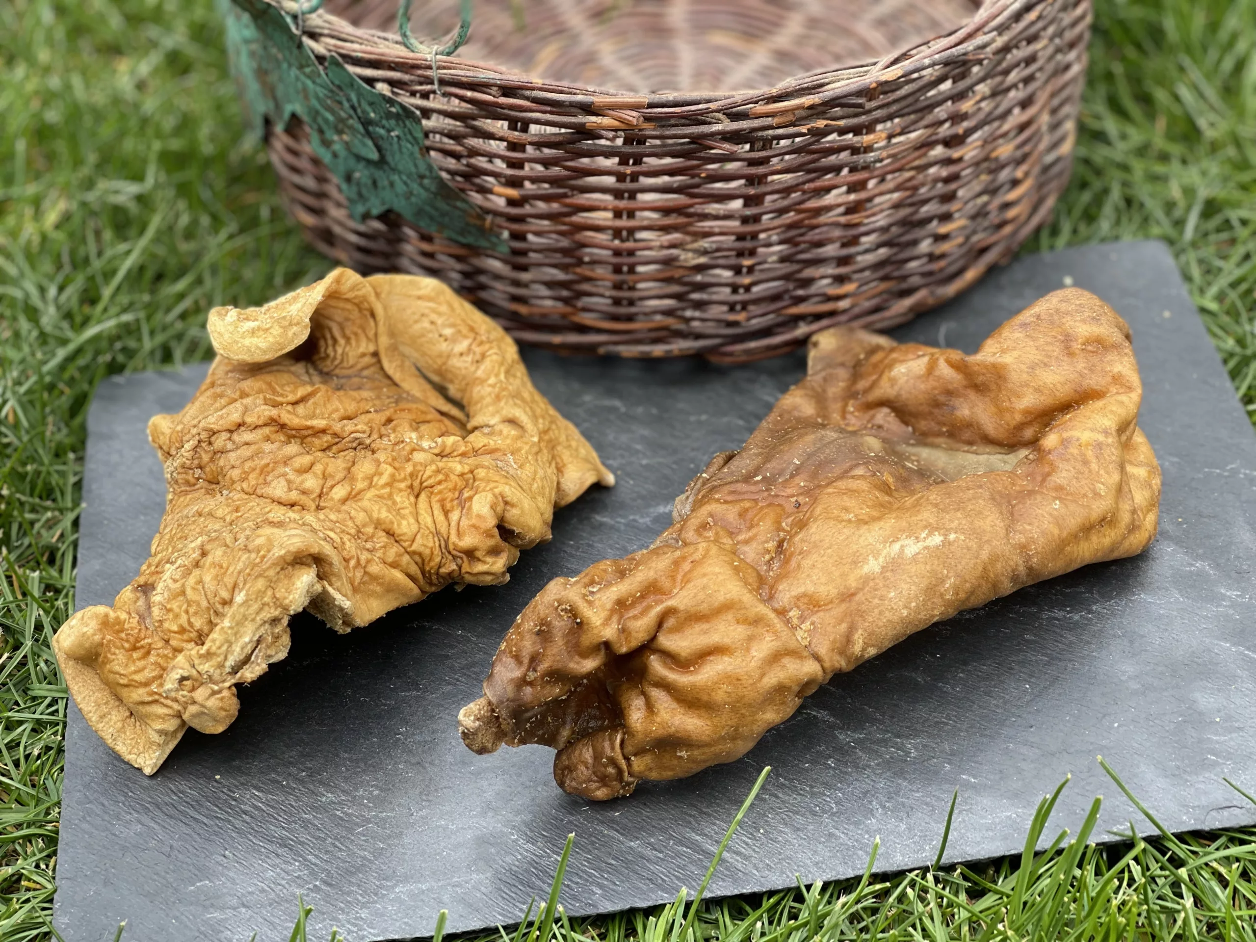 naturpetmascotas-479480