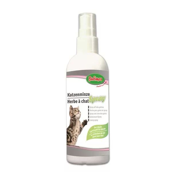 naturpetmascotas-482092