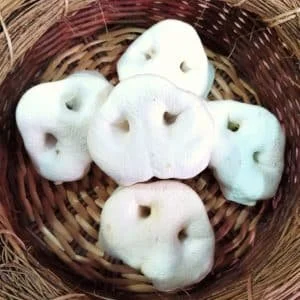 naturpetmascotas-483389