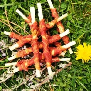 naturpetmascotas-483489
