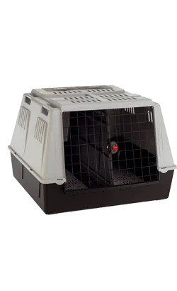 nutripetplan432982