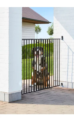 nutripetplan438511