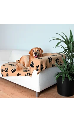 nutripetplan442507