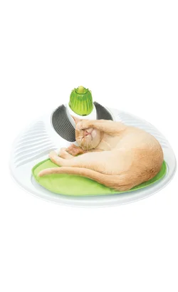 nutripetplan445383