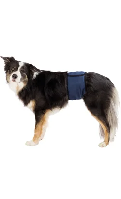 nutripetplan471187