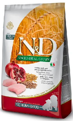 nutripetplan509445