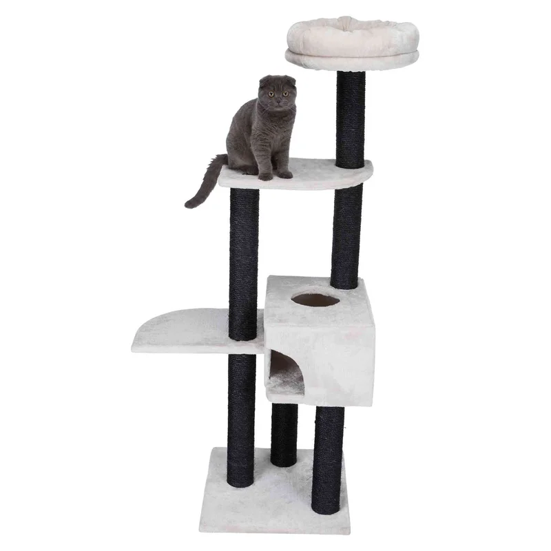 totdanimals2-524366