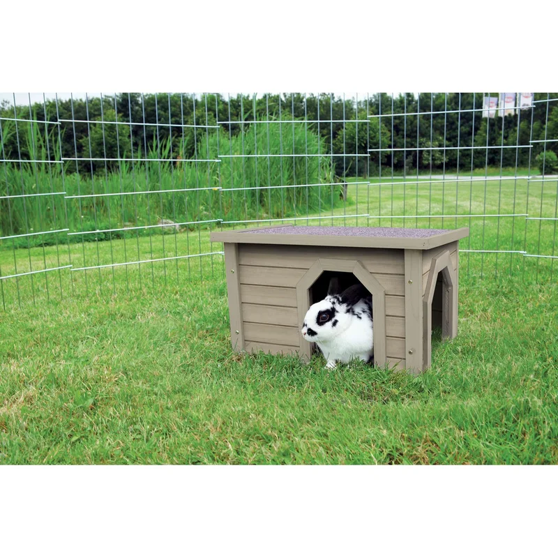 totdanimals3-525231