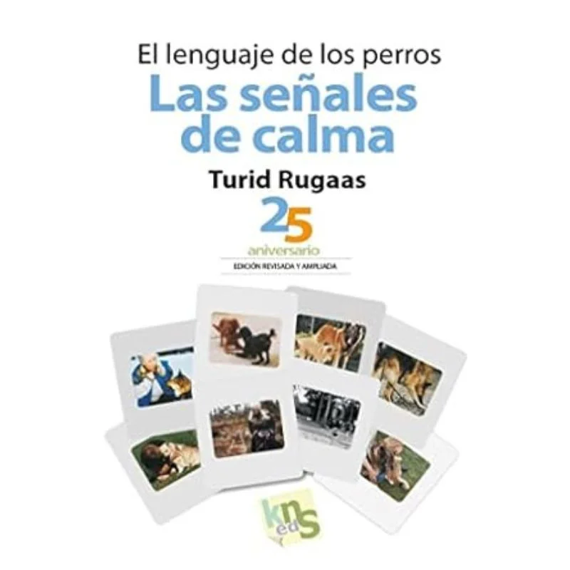 viralataspetshop-440753