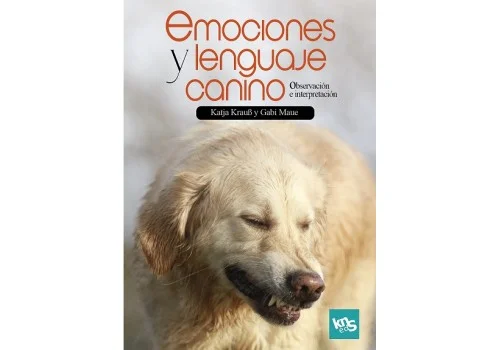 viralataspetshop-440830
