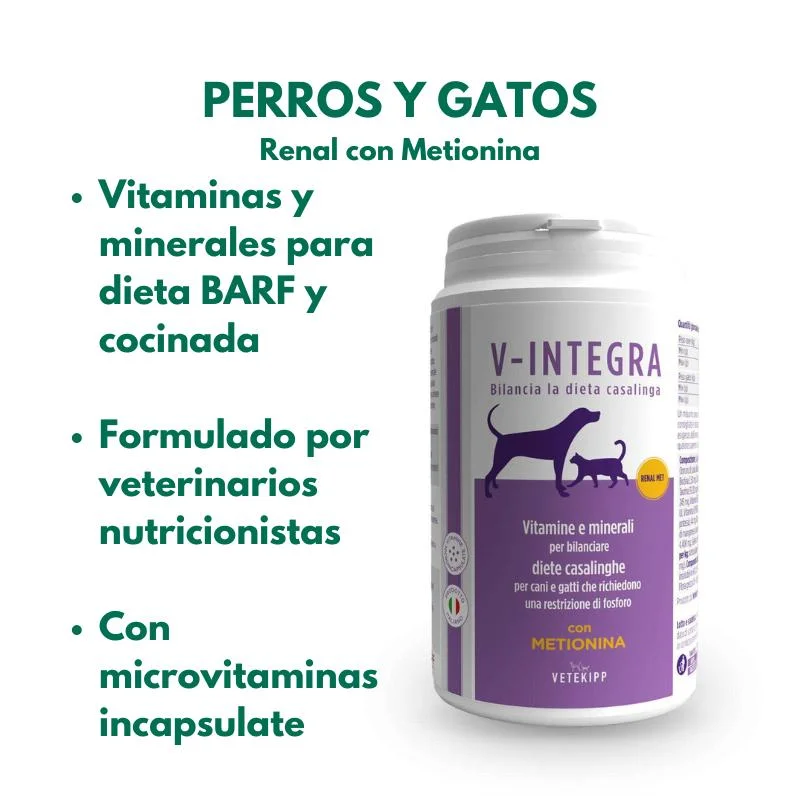 viralataspetshop-441237
