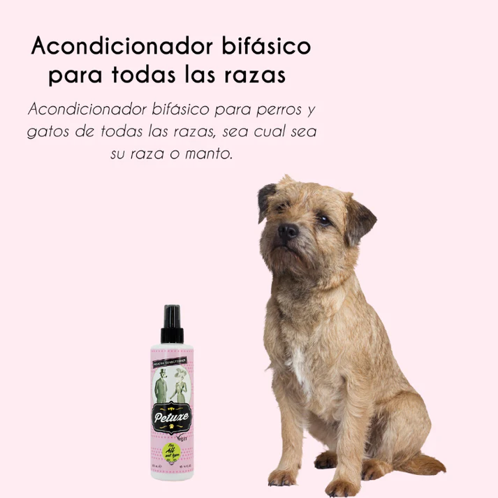 viralataspetshop-441956